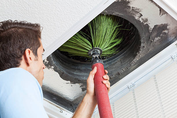 Best Air Duct Sanitization & Disinfection in Orangevale, CA